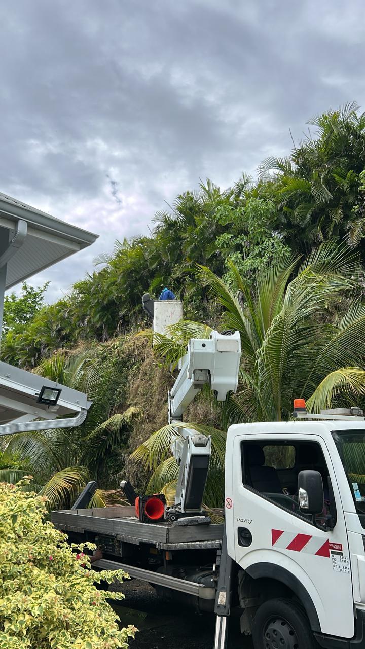 Service d'entretien de jardin Martinique