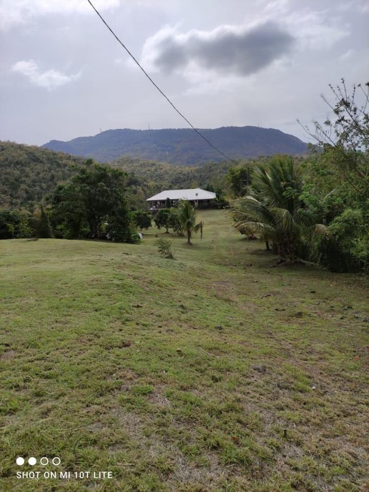 Travaux de jardinage Martinique